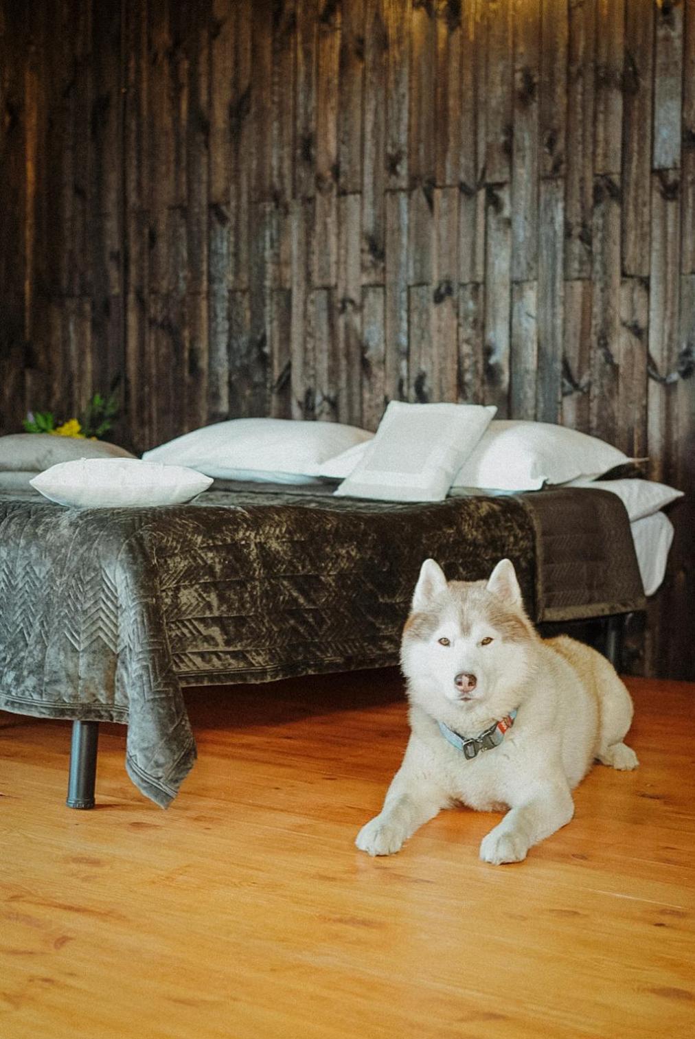 Долина Хюгге Hotel Chornomors'ke  ภายนอก รูปภาพ